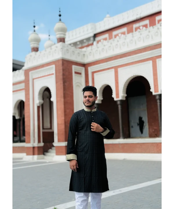 KP-011  Mens Premium Panjabi - Image 2